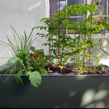 Delicious Designs: Planters for Your Culinary Creations