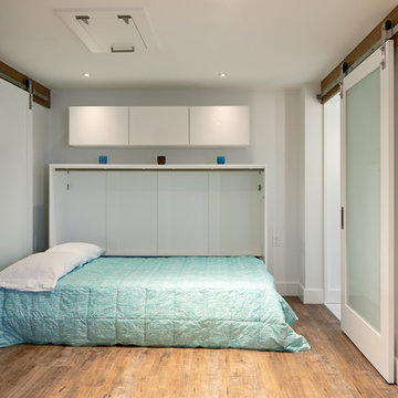 Ballard Basement - Murphy Bed