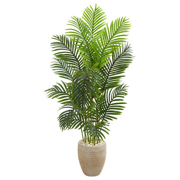 Home Decor 28"D x28"W x5' Paradise Palm Artificial Tree in Sand Colored Planter