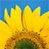 Julie Burtner's photo