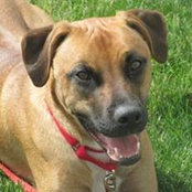 Laura Bakewell's photo