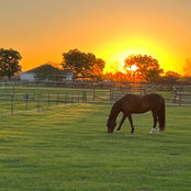 Sharon Laribee's photo
