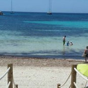 Barbara Sammarco's photo