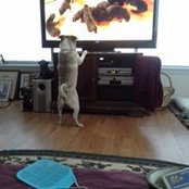 Lin Kammeyer's photo