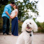 Abby Brauns's photo