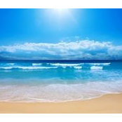 Carole Tack's photo