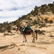 Kelli Hobbs's photo