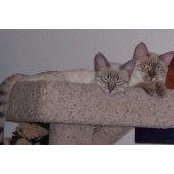 Ellen Bencken's photo