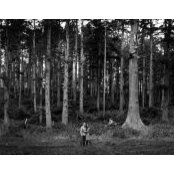Colleen Kellogg's photo