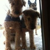 Shari Kirkness Moss's photo