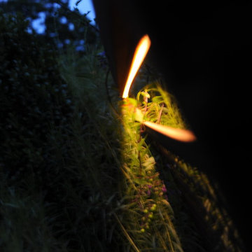 LED Garden light