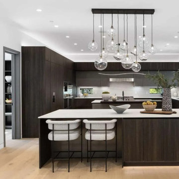New construction - Luxury kitchen - Atherton