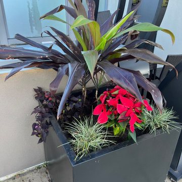 Plant Boxes