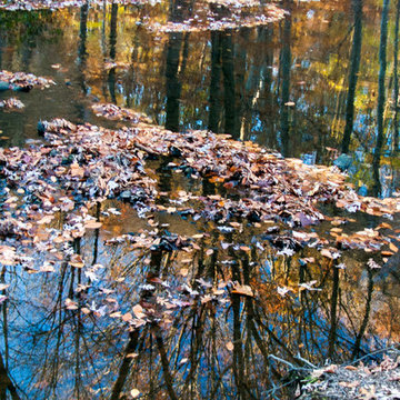 Photographs of water reflections