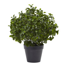 TarapiTree