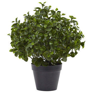 Nearly Natural 23" Peperomia Plant UV Resistant, Indoor, Outdoor
