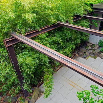 Madison Park Landscape Renovation