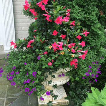 Annual flower arrangements