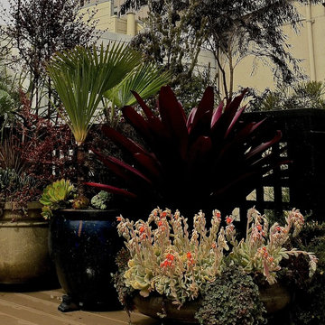 Container gardens
