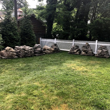11x16' Ecosystem Pond in Haddonfield, NJ