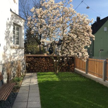 Die blühende Magnolie vor der Corten-Wand