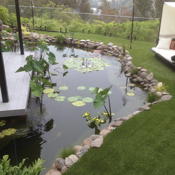 Zen Koi Pond