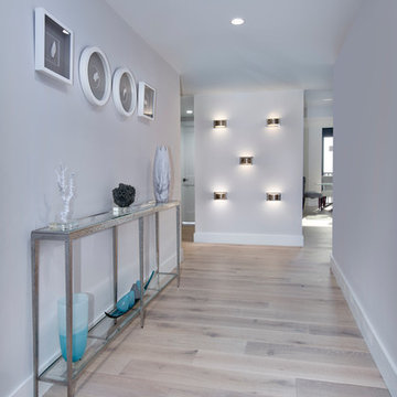 Lighting feature showcased in entry hallway