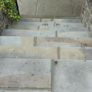 Thermal Cut Flagstone Walkway in Washington DC, Columbia Heights NW
