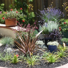 Backyard ideas