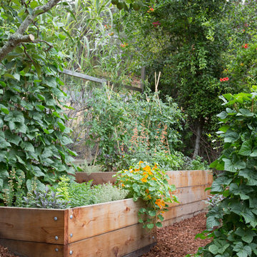Pine House Edible Gardens