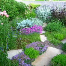 front garden ideas