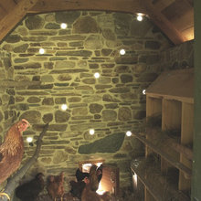 Chicken Coop