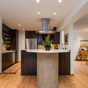 Qualified Remodeler Magazine & Coty Award Winning Modern Kitchen