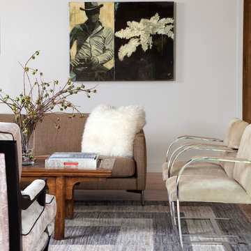 Aspen Mountain Modern