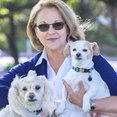 Towne & Country Design, Inc.'s profile photo