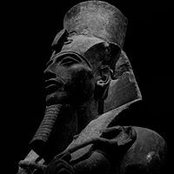 Larbi Al's photo