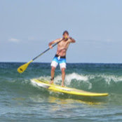 Peter Haynes's photo