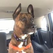 Barb Fejes Vasili's photo