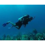 Angelo Hart's photo