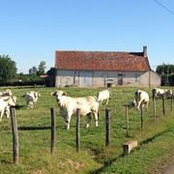 Foto von Deanna Davies