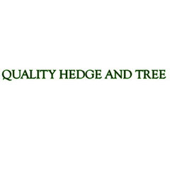 Quality Hedge And Tree