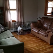 Our Tiny Cape Renovation Project!