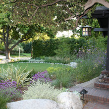 Hurst Backyard - Shellflower Ct, Concord