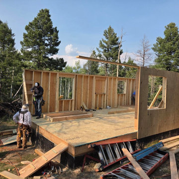 Troys Tiny House Build Cost effective
