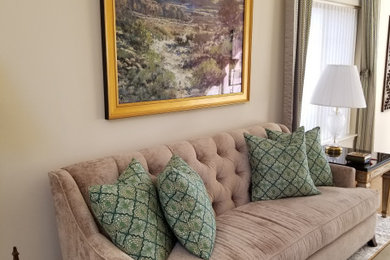 Transitional living room photo in Albuquerque