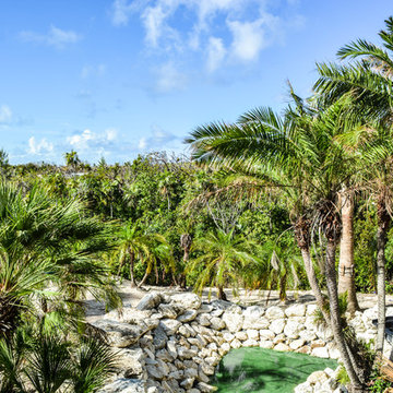 Tropical Architecture