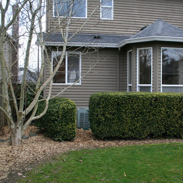 BEFORE: Side yard