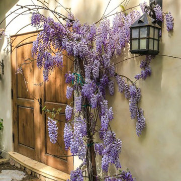 Carmel Residence #1