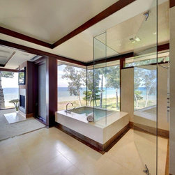 Contemporary Windows and Doors - Windows