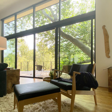Fawn Residence - Work under Studio Schicketanz